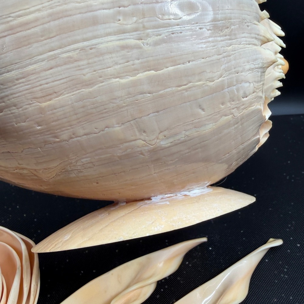 Vintage Hand Carved Conch Shell Bowl Set 9 Dishes Servers Coastal w Utensils - Picture 8 of 16